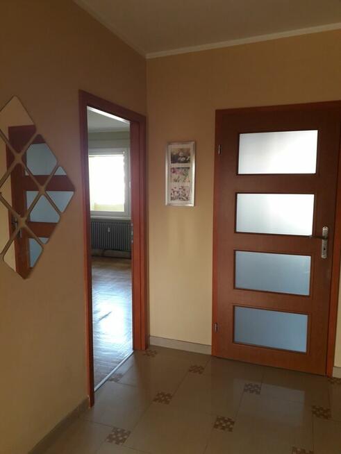 wynajem mieszkanie Włocławek Południe Jednostka E 60m2