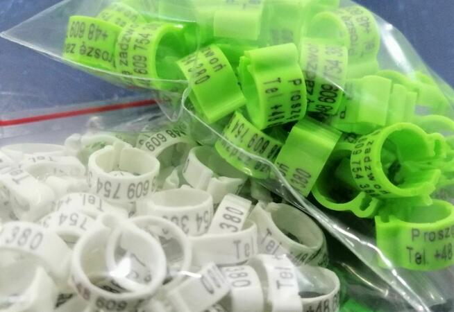 Znaczniki z telefon dla gołębi, grawerowane, laserowe