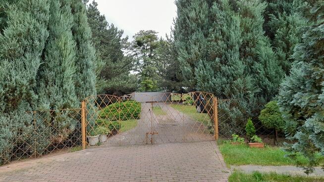 Dom w stylu południowoamerykańskim- Hacjenda