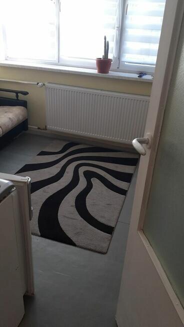 Kawalerka w Swiebodzinie