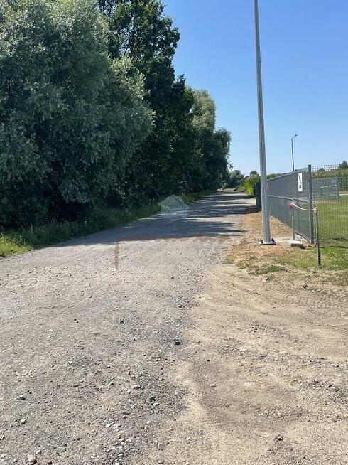 Działka przemysłowa Fałkowo gm. Łubowo Fałkowo, Fałkowo