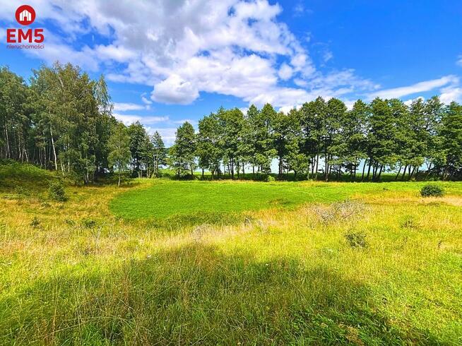 Działka inwestycyjna Dąbrówno