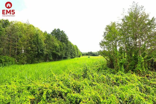 Lokal użytkowy Mołowiste gm. Płaska