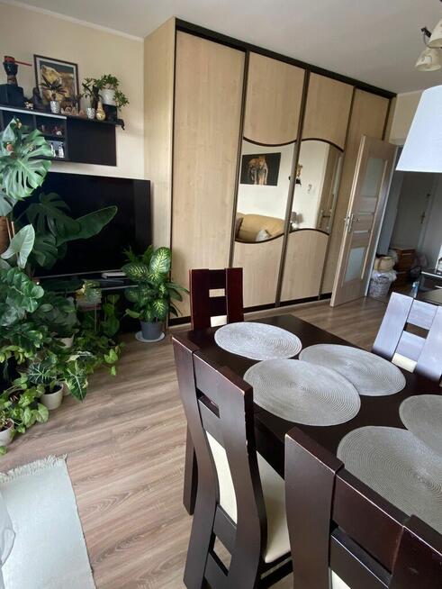 Ciche mieszkanie wśród zieleni – 2 pokoje, Załom