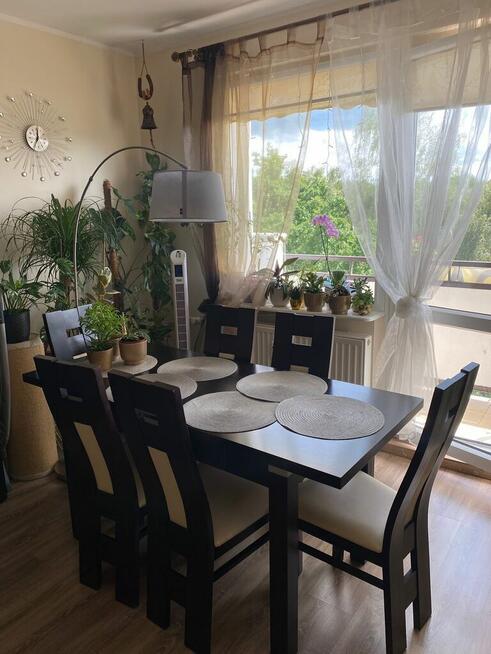 Ciche mieszkanie wśród zieleni – 2 pokoje, Załom