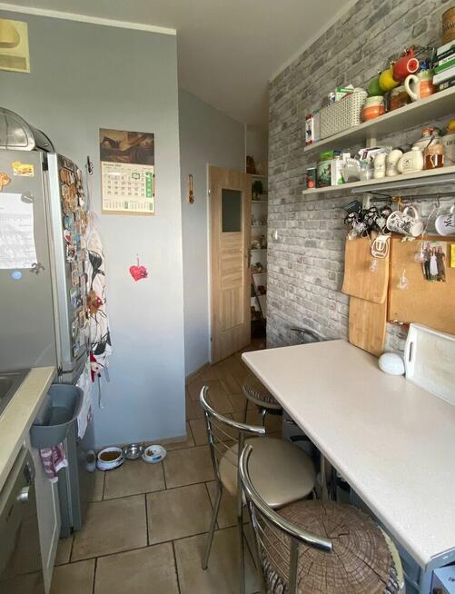 Ciche mieszkanie wśród zieleni – 2 pokoje, Załom