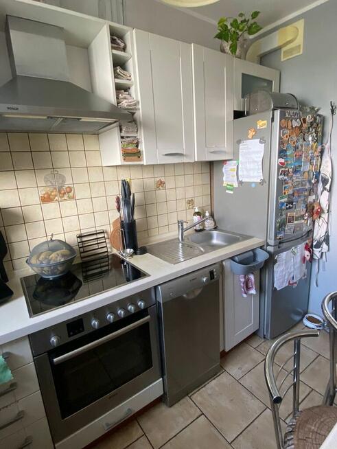 Ciche mieszkanie wśród zieleni – 2 pokoje, Załom