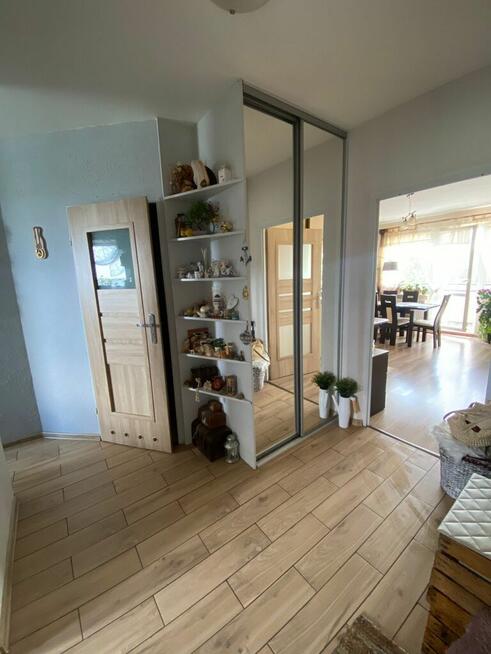 Ciche mieszkanie wśród zieleni – 2 pokoje, Załom