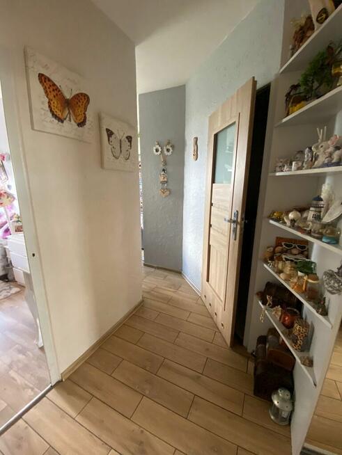 Ciche mieszkanie wśród zieleni – 2 pokoje, Załom