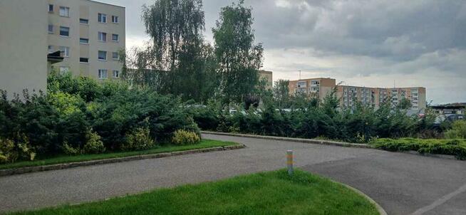 Ciche mieszkanie wśród zieleni – 2 pokoje, Załom