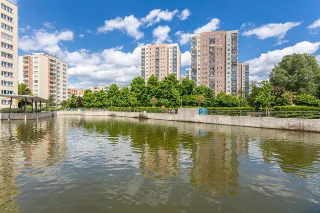 Okazja! 4 ustawne pokoje w topowej lokalizacji