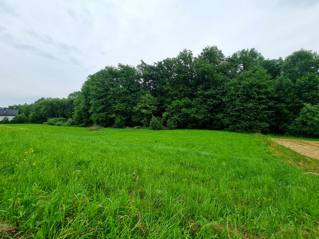 Działka Nowy Glinik gm. Tarnowiec