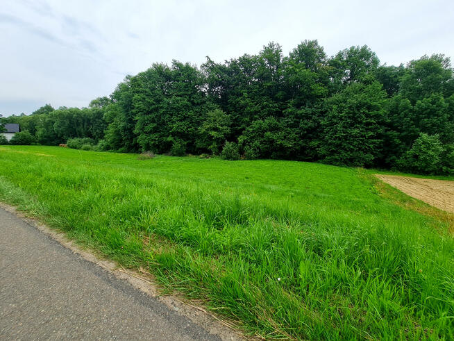 Działka Nowy Glinik gm. Tarnowiec