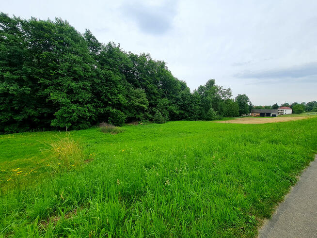 Działka Nowy Glinik gm. Tarnowiec