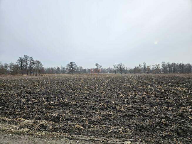 Działka rolna Wrocław Psie Pole, Pawłowice, Złotej Lilii