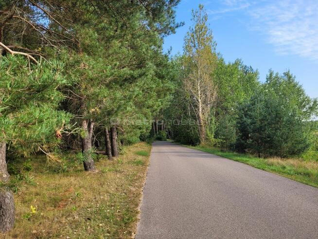 Działka budowlana w pobliżu lasów i jezior