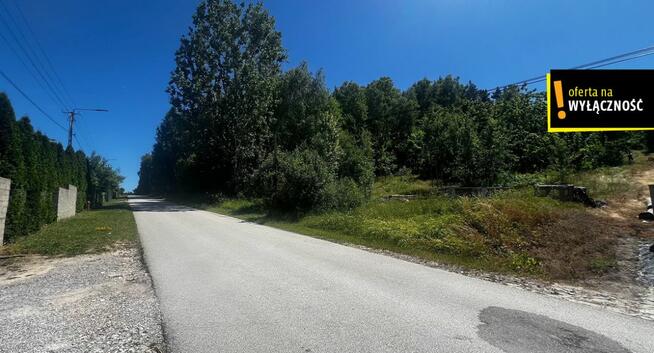 Działka leśna Bolmin gm. Chęciny,