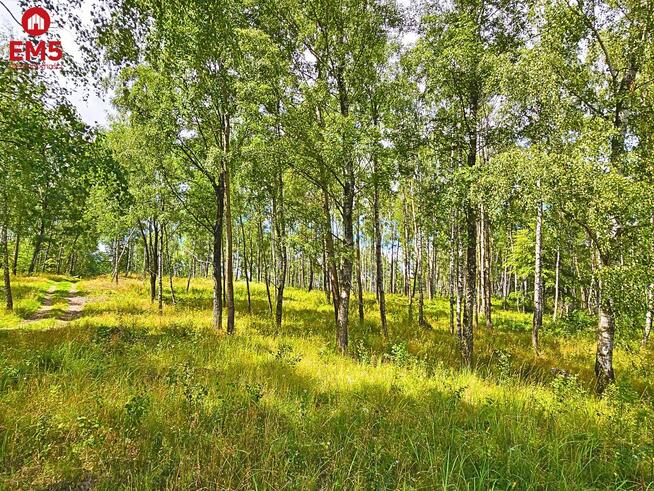 Działka budowlana Stare Miasto gm. Dąbrówno