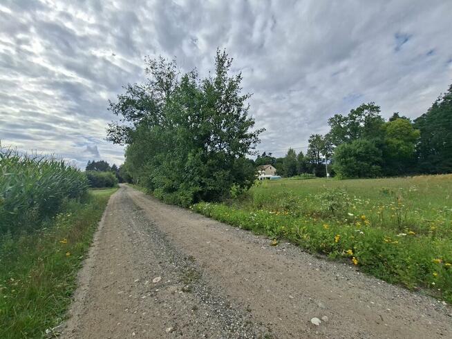 Wyjątkowa działka budowlana, Polaki