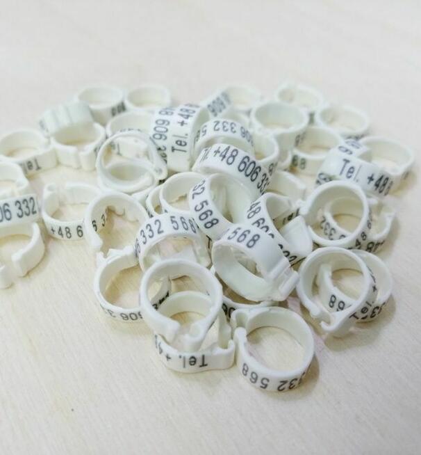 Znaczniki grawerowane 8x5 dla gołębi pocztowych z telefonem