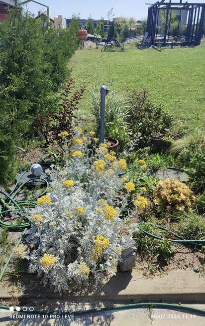 Odstępie prawo do działki Rod na Jasieniu