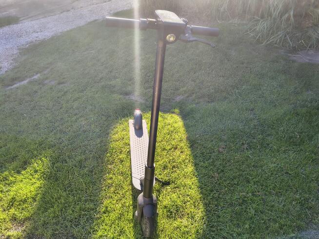 Hulajnoga bird one prywatna