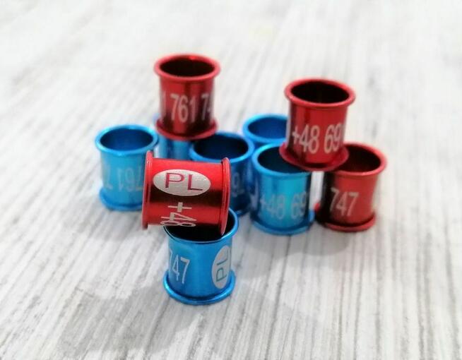 Znaczniki z telefon dla gołębi, grawerowane, laserowe