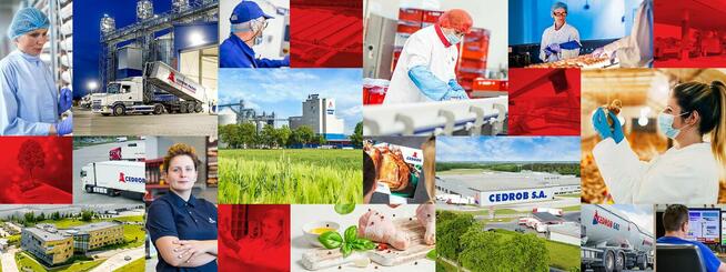 Pracownik Produkcji - Dział Przyjęcia Żywca, Pakowania