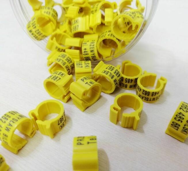 Znaczniki grawerowane 8x5 dla gołębi pocztowych z telefonem