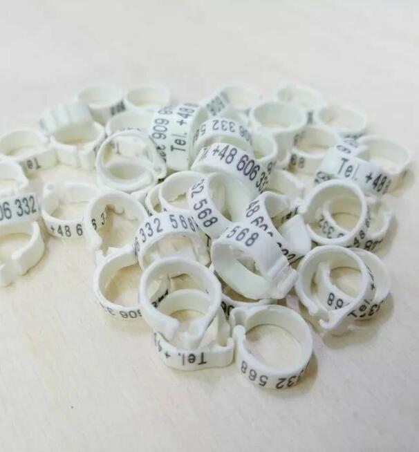 Znaczniki z telefon dla gołębi, grawerowane, laserowe