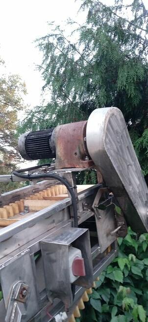 Podajnik taśmowy kwasoodporny do spożywki