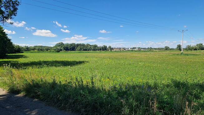 Na tej działce może powstać Twój dom