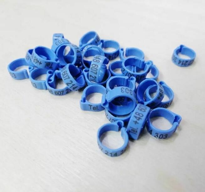 Znaczniki z telefonem dla gołębi, obrączki laserowe