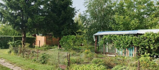 Sprzedam działkę ROD Medyczna Płock