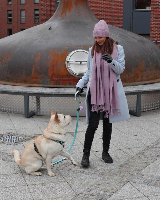 Behawiorysta psi trener Szczecin