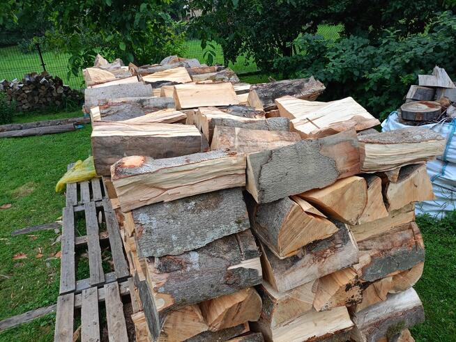 Buk 5.5 metra. Kawałki 33cm do 38 cm.