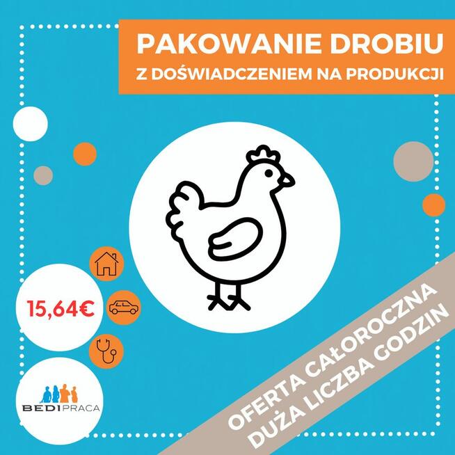 PRODUKCJA FILETÓW DROBIOWYCH- HOLANDIA