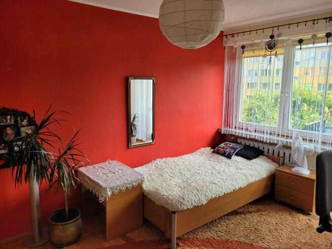 Mieszkanie do wynajęcia