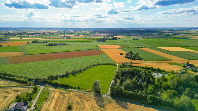 Działka 1,27 ha Wola Miedniewska 4 km od CPK, 3 km A2