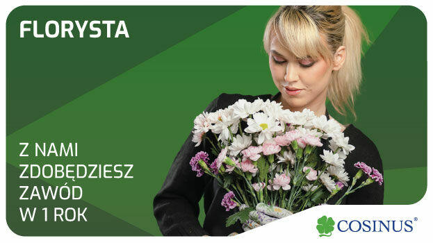 Cosinus Bełchatów – BEZPŁATNA SZKOŁA DLA DOROSŁYCH!