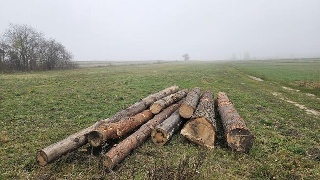 Działka 16.548,00 m2