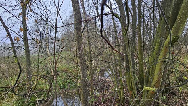 Działki 200 m2 oraz 3500 m2