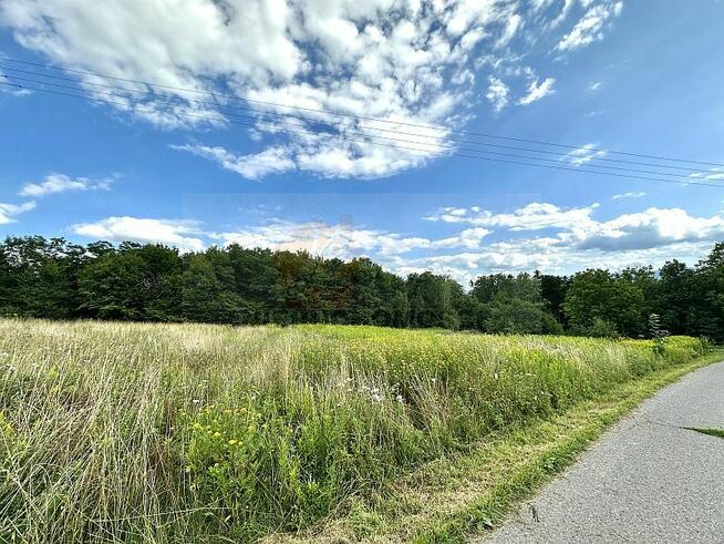 OFERTA GODNA POLECENIA! 114G Trzetrzewina gmina Chełmiec, d