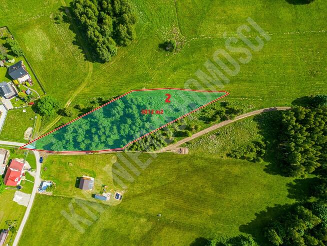 Malownicze działki w Lachowicach przy lesie