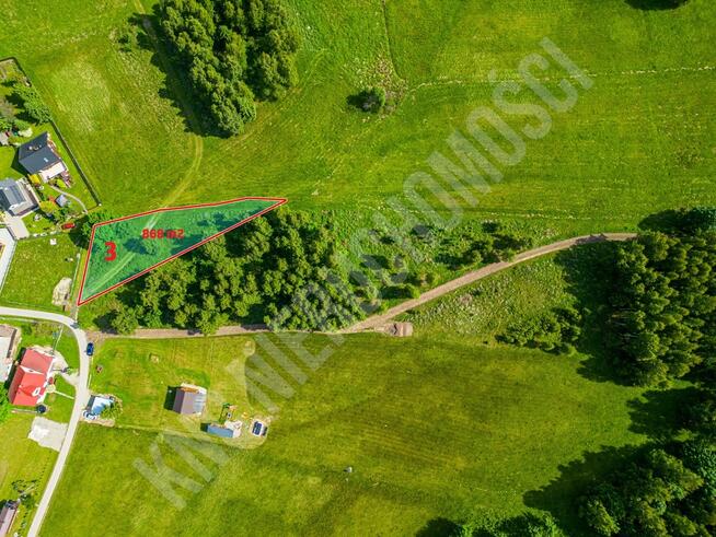 Malownicze działki w Lachowicach przy lesie