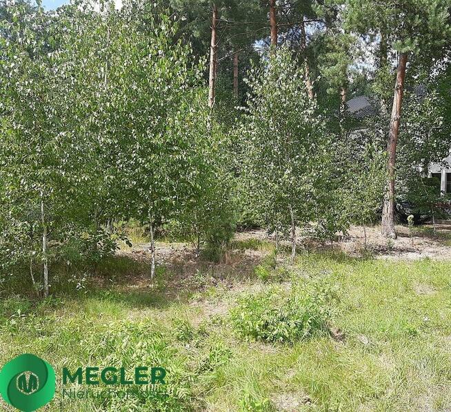 Działka przylegająca do lasu