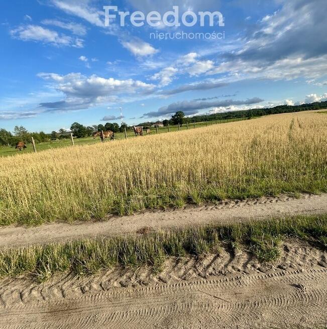 Działka na Mazurach Napiwoda Nidzica
