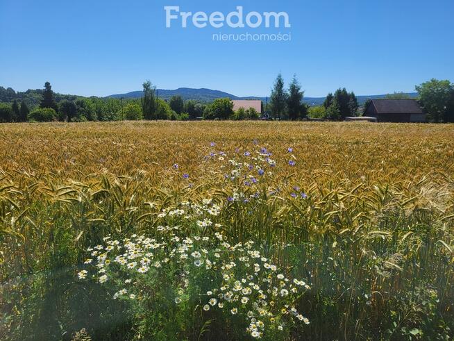 Działki budowlane w Barwałdzie Średnim