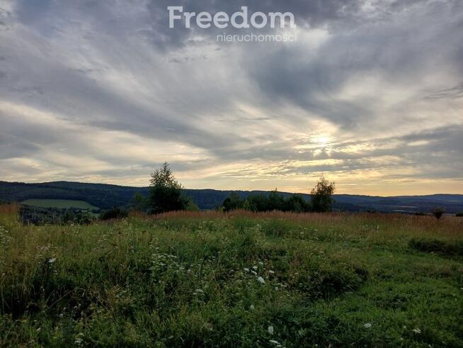 1,8 ha pod rekreację, siedlisko lub fotowoltaikę