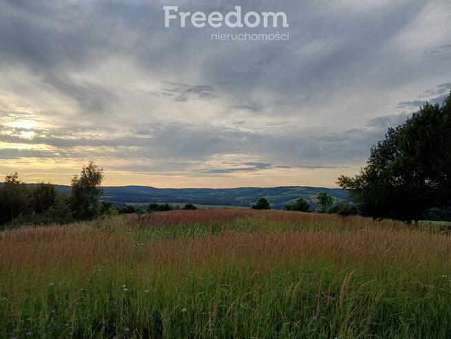 1,8 ha pod rekreację, siedlisko lub fotowoltaikę